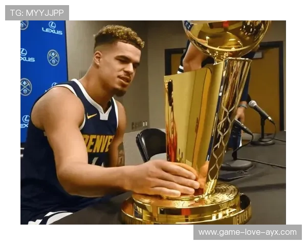 小迈克尔·波特底角定点准度提升